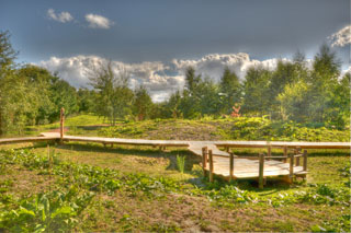 Loopbrug Douglas